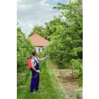 Kwazar telescopic lance 3 m, angled lance head, tree guard