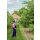 Kwazar telescopic lance 3 m, angled lance head, tree guard