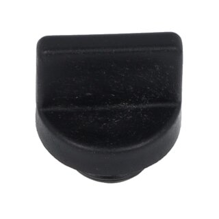 Filler plug