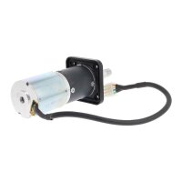 Hinterrad-Motor (1)