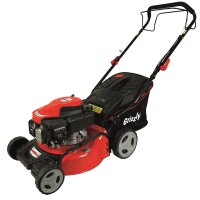 Kopie von Grizzly Tools Benzin Rasenmäher BRM 4210-20 A