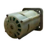 Rear-wheel motor