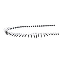 Cintura di viti 50x viti (3,5 x 25mm)