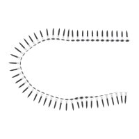 Cintura di viti 50x viti (3,5 x 25mm)
