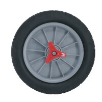Ruota anteriore